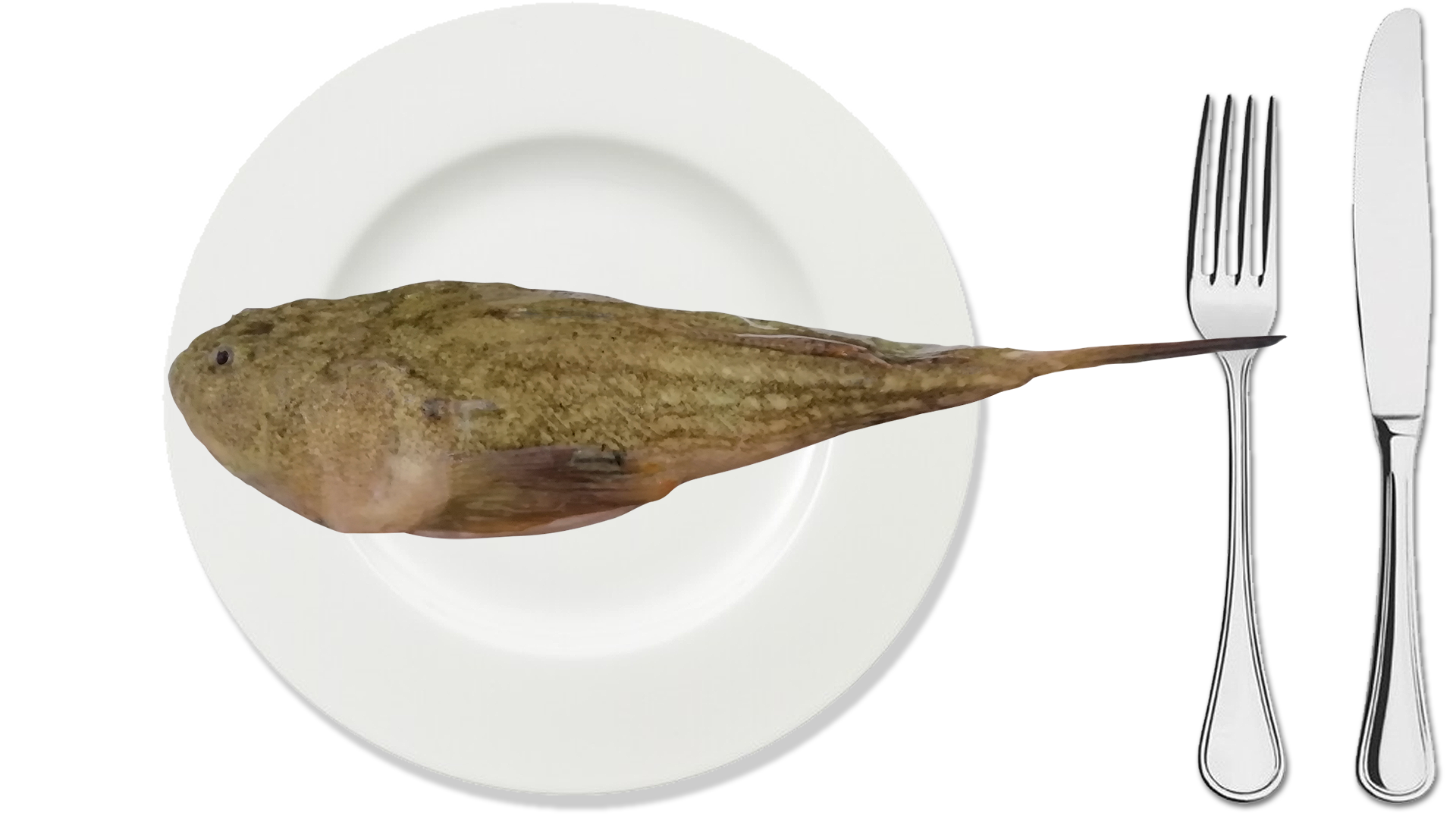 Pesce Prete piatto